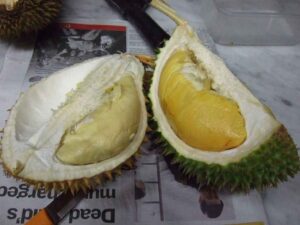 bahaya-durian-doktersehat